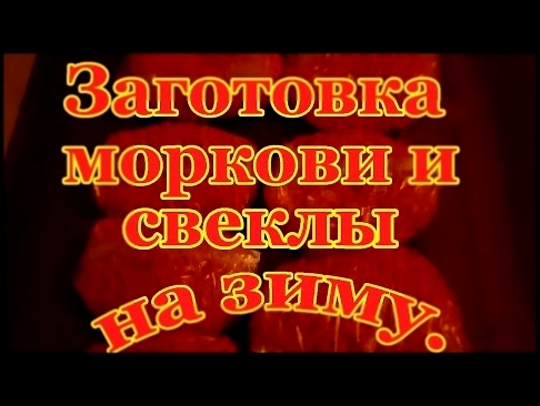 Заготовка овощей на зиму.Заморозка моркови и свеклы.Рецепты Закруток На Зиму. 