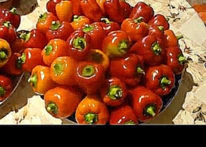 Жареные перцы в масле на зиму закрываем в банки.Grilled peppers in oil for the winter 
