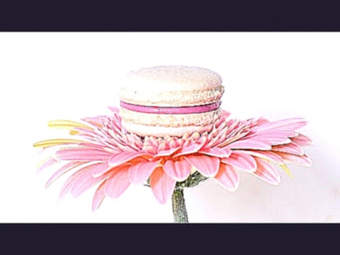 Пирожное макарон ☆ Советы по приготовлению ☆ Macaron 