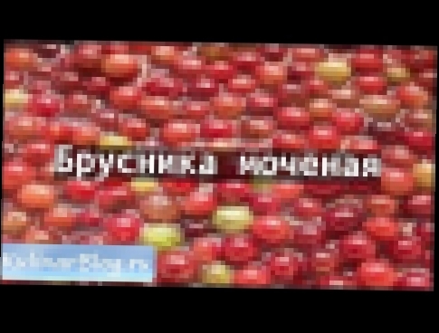 <span aria-label="&#x420;&#x435;&#x446;&#x435;&#x43F;&#x442; &#x411;&#x440;&#x443;&#x441;&#x43D;&#x438;&#x43A;&#x430; &#x43C;&#x43E;&#x447;&#x435;&#x43D;&#x430;&#x44F; 