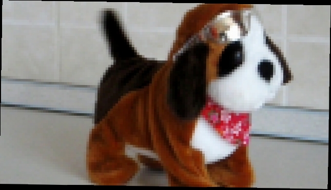 прикольный Mini Dog - видеоклип на песню