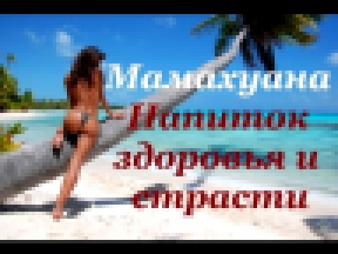 Мамахуана. Подготовка настойки 