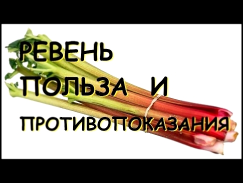 Ревень. Польза и вред. 