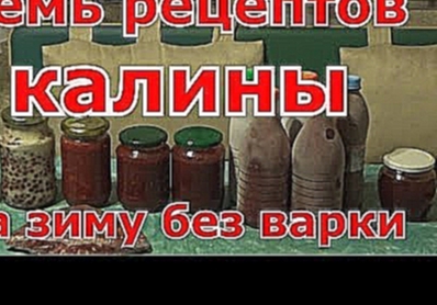 Семь рецептов калины на зиму без варки 