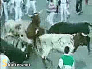 Разъяренные быки набросился на участников традиционного забега  