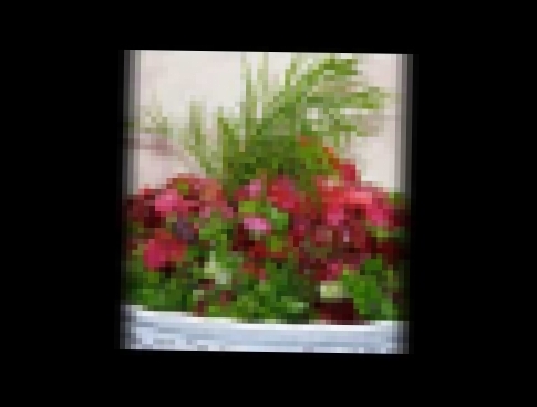<span aria-label="&#x440;&#x435;&#x446;&#x435;&#x43F;&#x442; &#x432;&#x438;&#x43D;&#x435;&#x433;&#x440;&#x435;&#x442; 