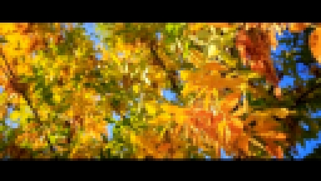 «Ролик " Осень, Кыргызстан" из коллекции Гостевого Дома "Алтай"» Colours of Autumn, Kyrgyzstan - видеоклип на песню