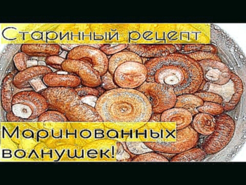 Как мариновать волнушки? Старинный, очень вкусный рецепт! 