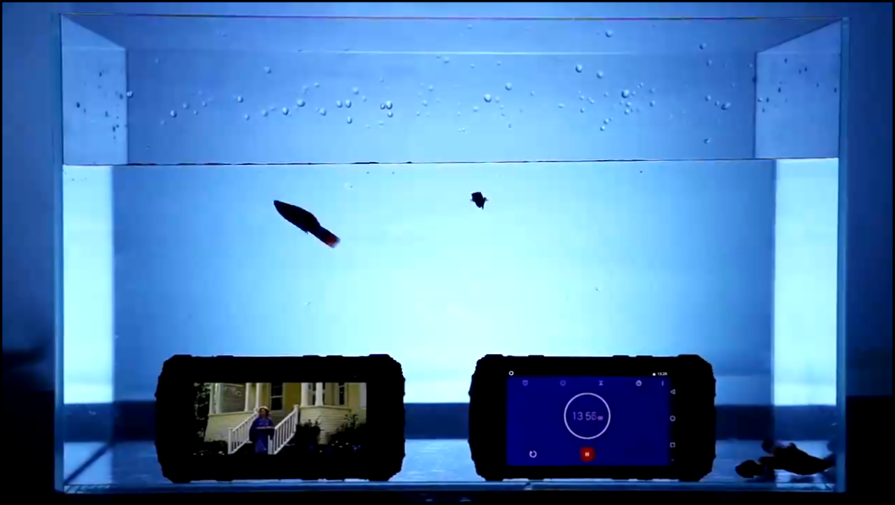 Ulefone Armor 2 поплавал в аквариуме с рыбками - видеоклип на песню