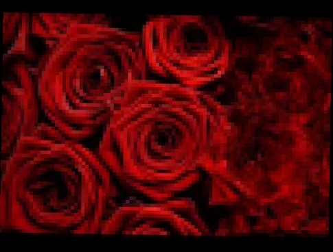 Алла Пугачева - Миллион Алых Роз_ Million of Scarlet Roses - видеоклип на песню