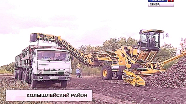 В Пензенской области начата уборка сахарной свеклы 