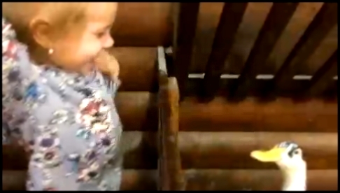 ✔Контактный зоопарк Свинка Пеппа уже не та  кормим животных Видео для детей feed animals zoo  - видеоклип на песню