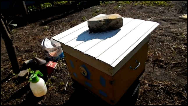 Развитие пчелопакета. Работа №2: Второй осмотр и расширение гнезда вощиной. 