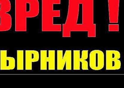 ВРЕД  СЫРНИКОВ . 