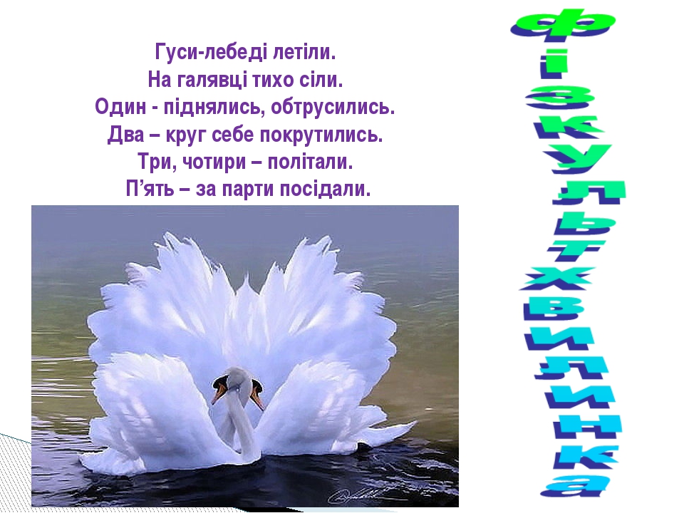 Гусь Тихо,тихо