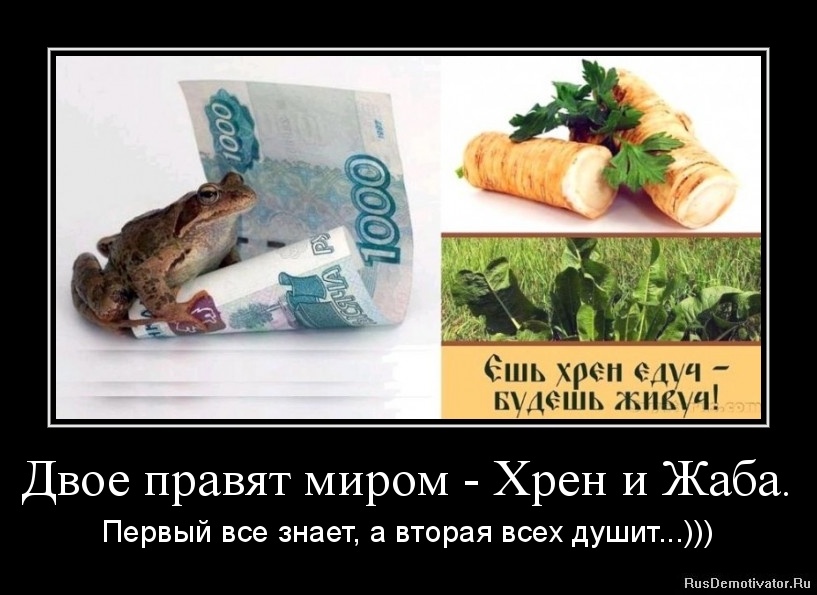 ХЗ Похожие