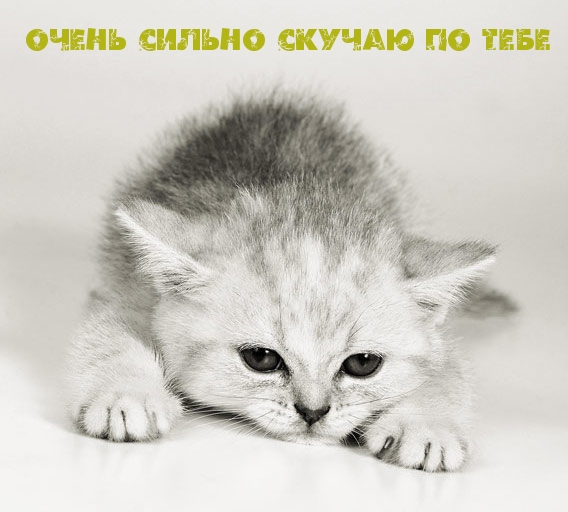 Посвящается Евгении Мальцевой Я очень сильно по тебе скучаю Посвящается Евгении Мальцевой Я очень сильно по тебе скучаю