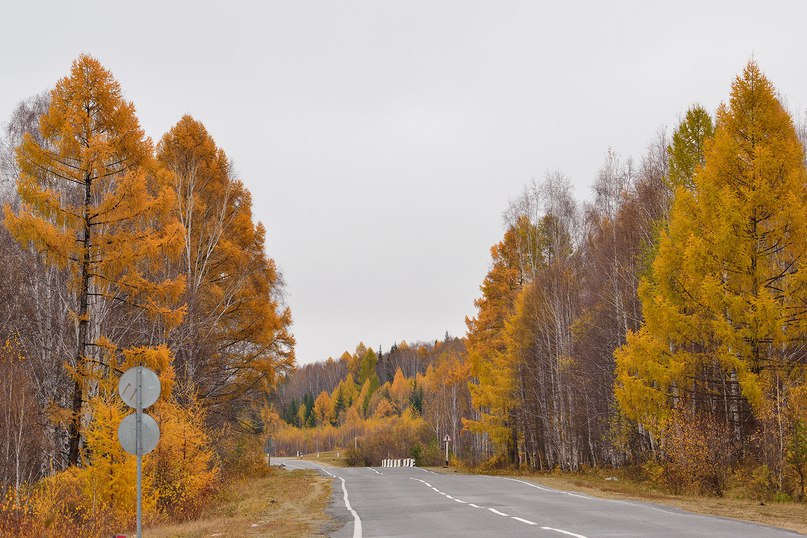 Ямыч Восточный Скоро осень