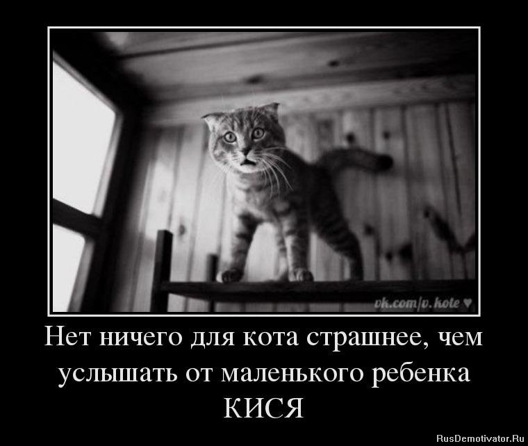 Котик Твоя кися-*