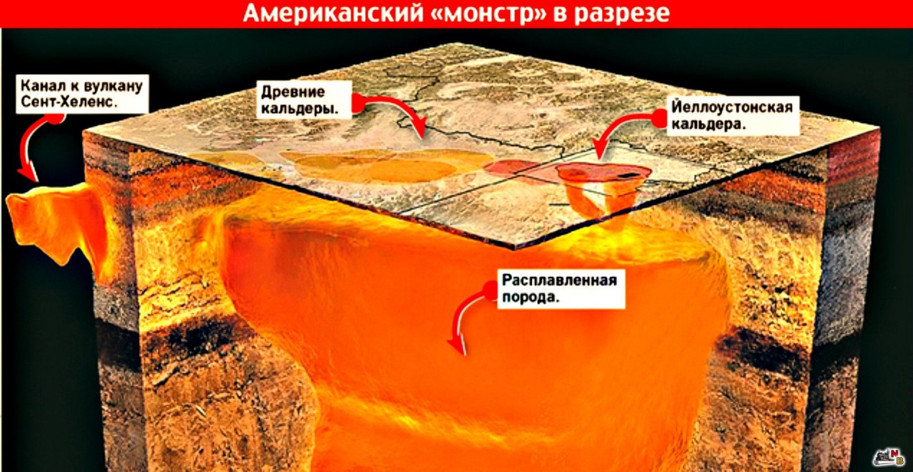 Квартет п/у Сергея Никитина Бей профессоров