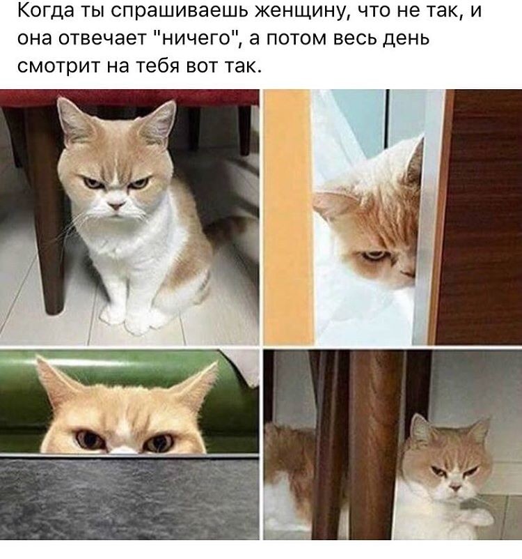 лог Это не девочка - это беда