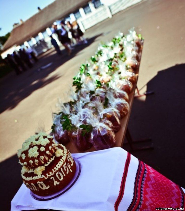 Мельник Яна Рідна школа-мінус