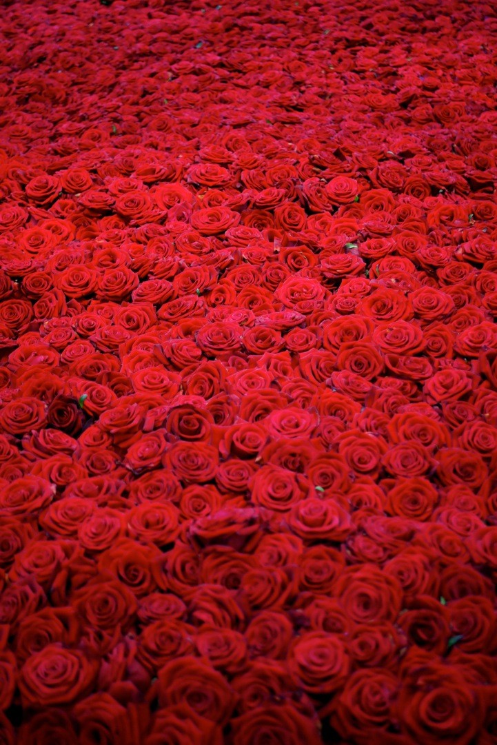 Корейская версия Миллион алых роз