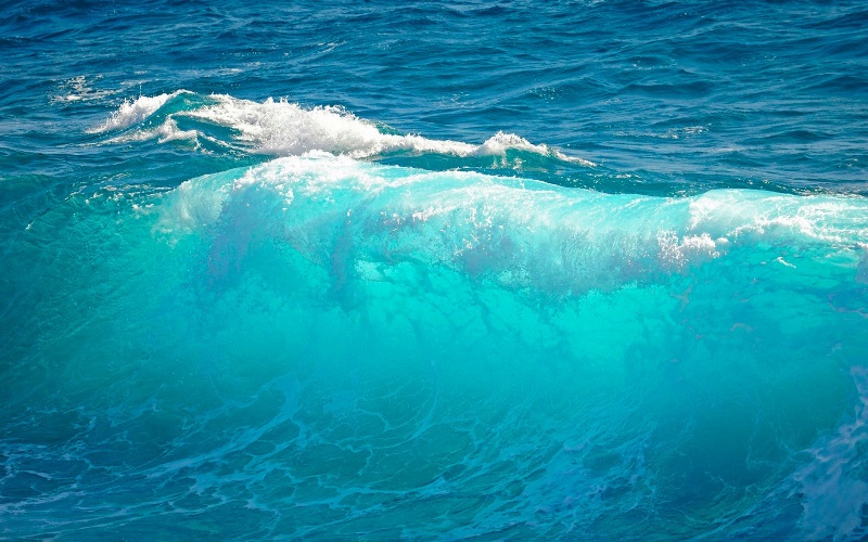 Прядко Анастасия Море солёная вода