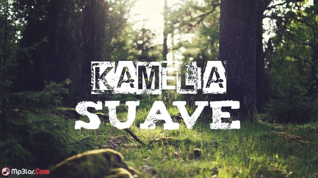 [muzmo.ru] Kamelia Suave 2017 [Radio Edit] [muzmo.ru]