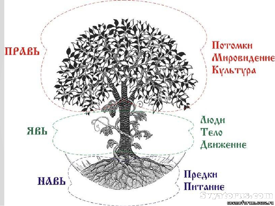 Сварга Навь