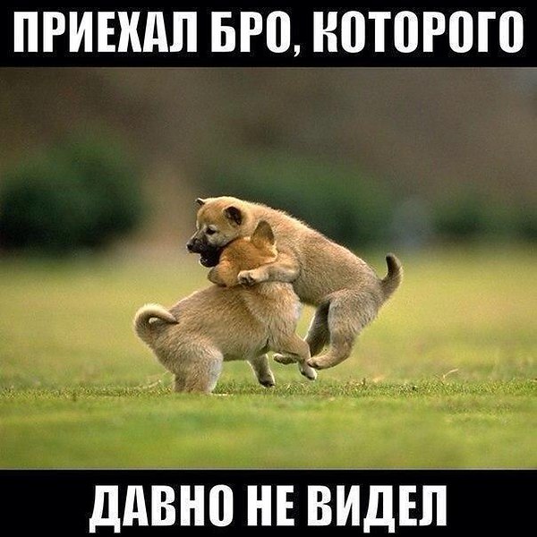 егор натс (Не) рядом со мной егор натс (Не) рядом со мной