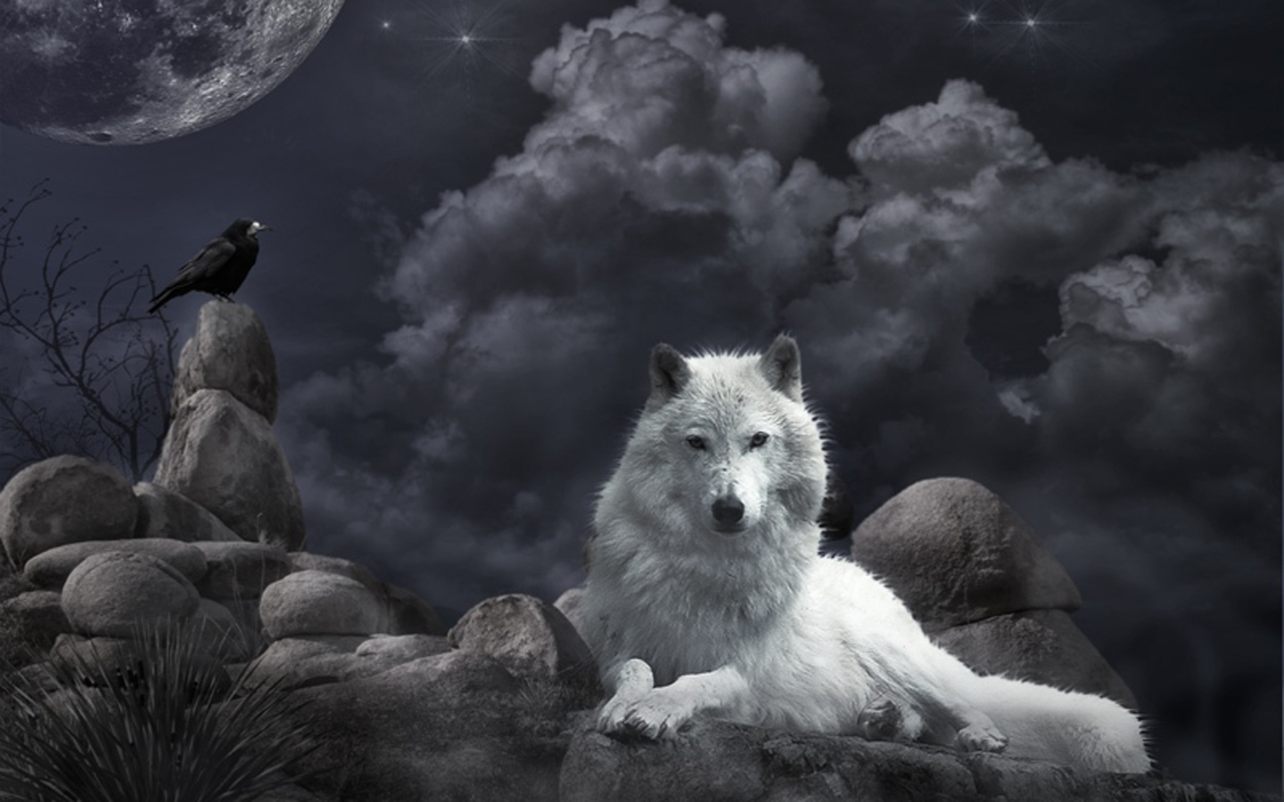 неизвестный Одинокий волк