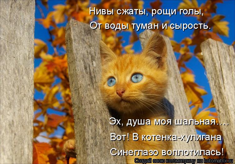 Радио Хулиганы Душа моя косолапая