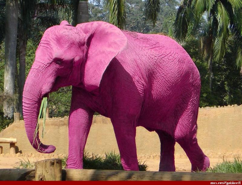 Детская Розовый слон