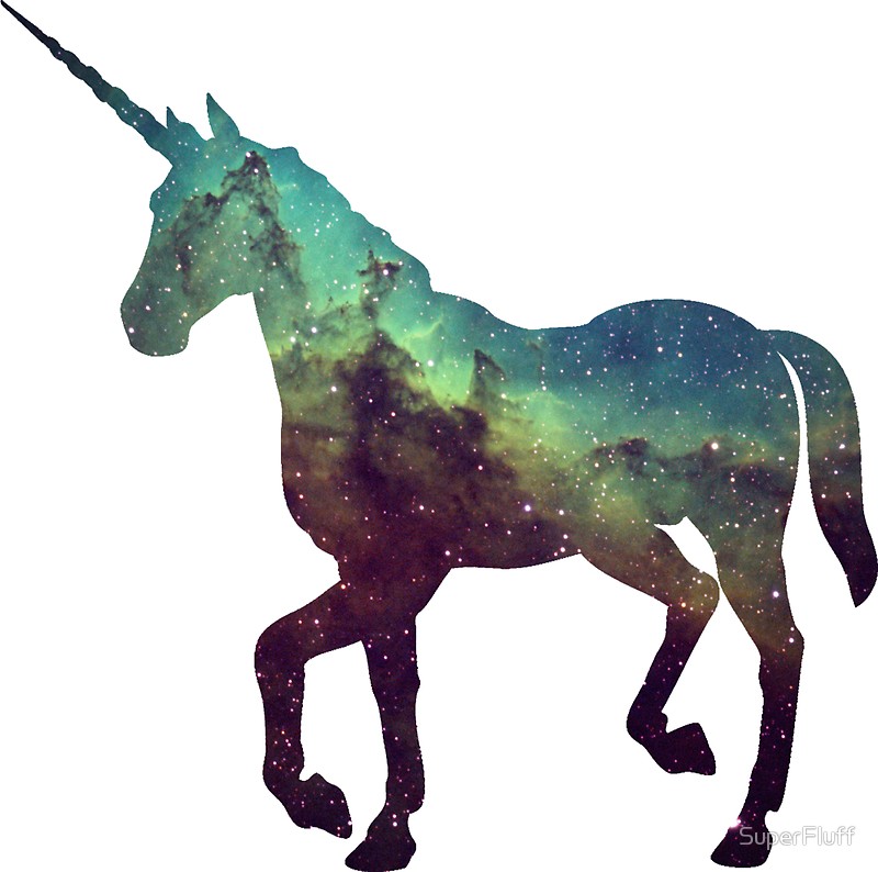 SPACE UNICORN