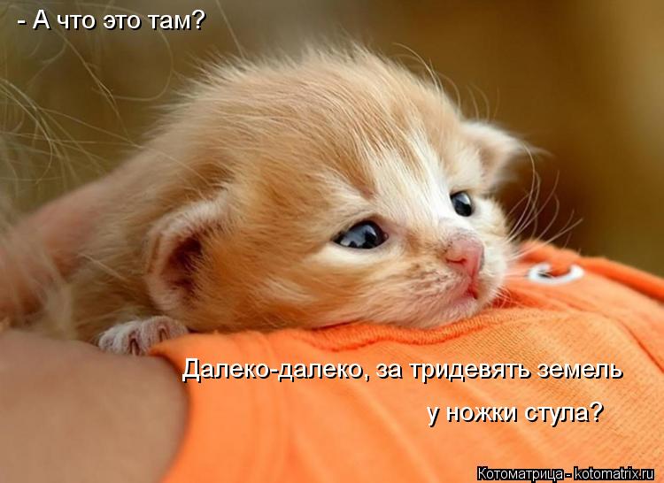 Там далеко далеко Там далеко далеко
