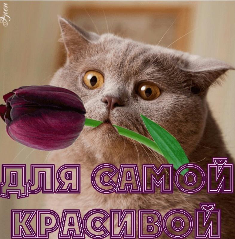 Люблю тебя мамочка моя Ты самая красивая,добрая,милая..