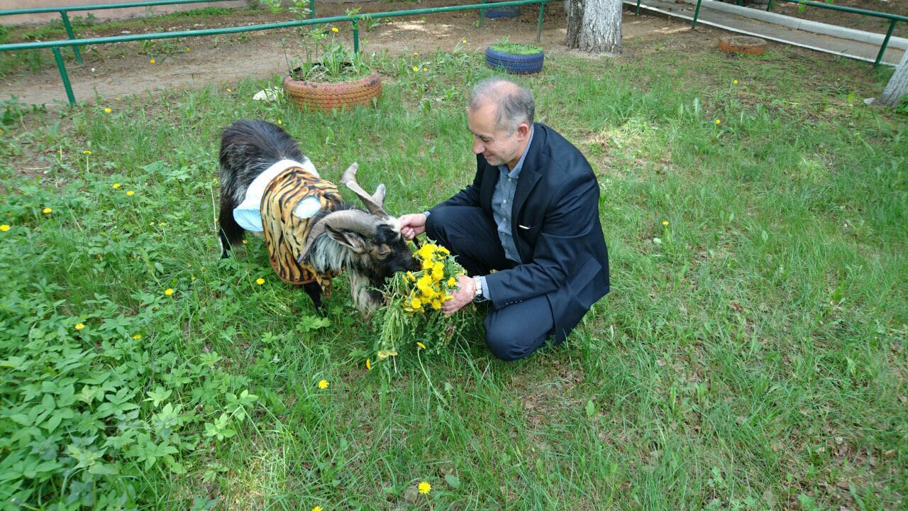 тимур Четко о аллах дай мне сил