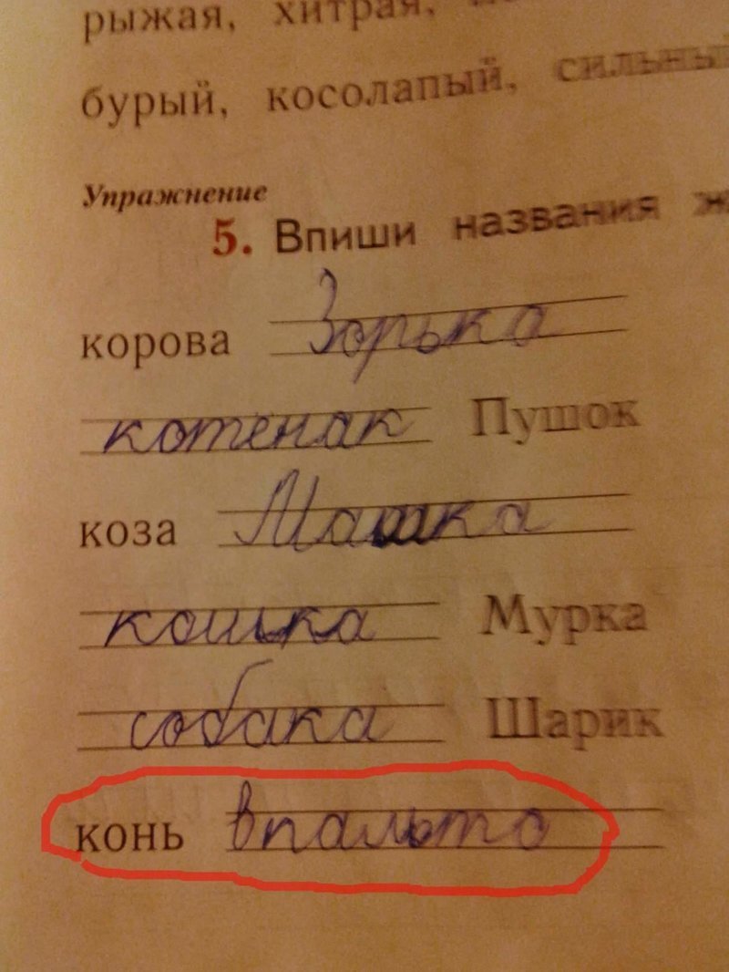 Пародия Учат в школе