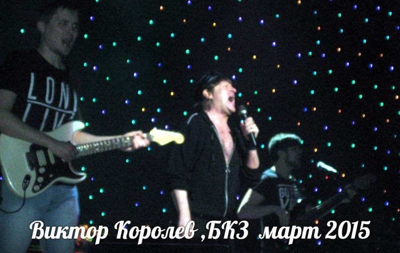 Виктор Королёв Лютики