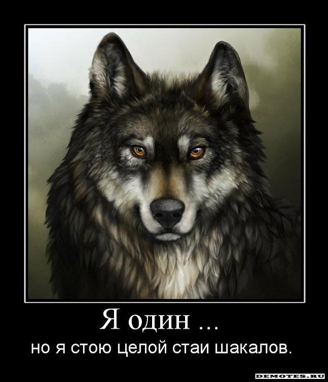 Виталий Цаплин Одинокий волк (SHanson.Mobi)